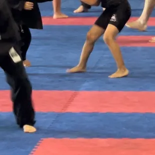 Ferny jiu jitsu