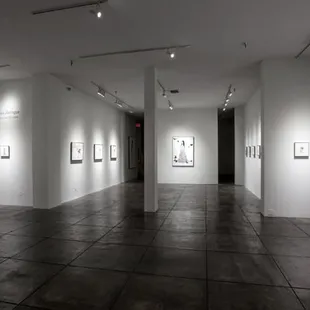 Monica Zerinuge &quot;Goddesses and Monsters&quot;
