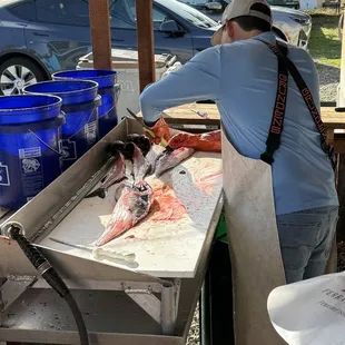 Anthony filleting the black cod!