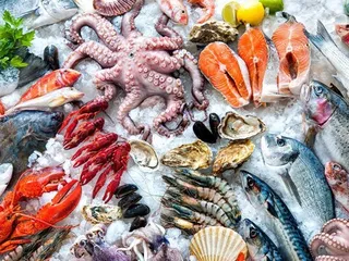 The Little Fish Company