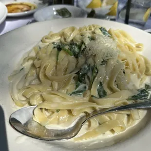 Fettuccine Alfredo - Regular