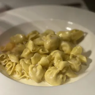 Pear Pasta Dumplings on Gorgonzola Sauce