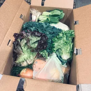 Another view of the box contents - this one is from 3 days ago