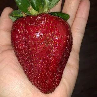 Organic strawberry