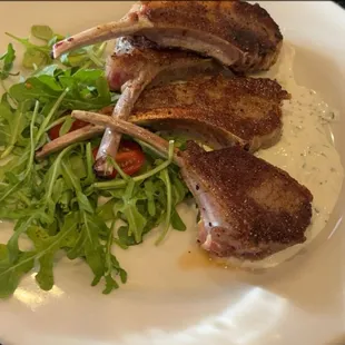 Lamb lollipops appetizers