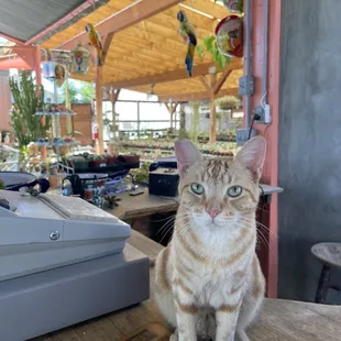 One of many staff members