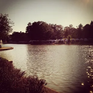 Festival in the Park 2012