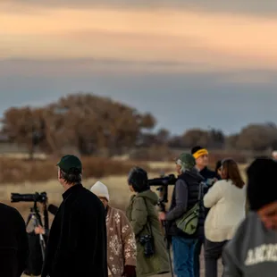 2023 Festival of the Cranes at Bosque del Apache