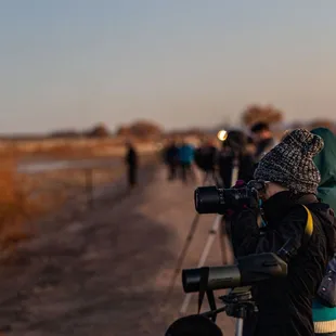 2023 Festival of the Cranes at Bosque del Apache