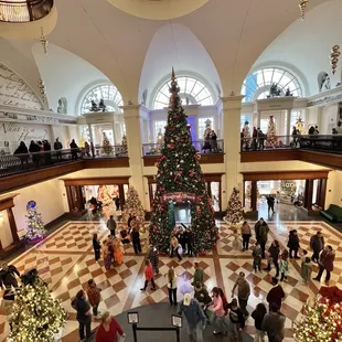 Festival of Trees
