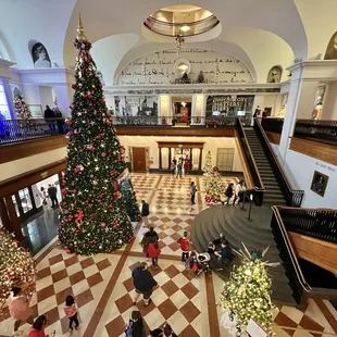 Festival of Trees