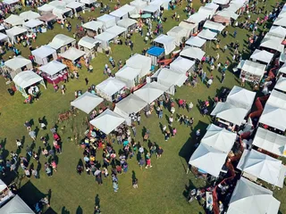 Starving Artists' Show