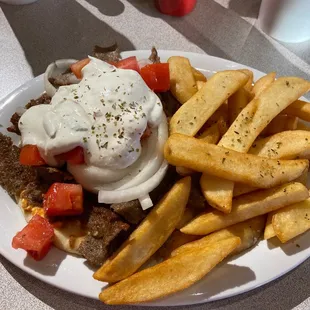 #1 Gyro Combo
