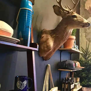 Great new store in West Bottoms !