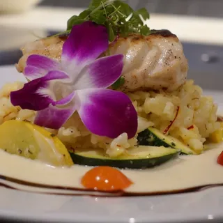 Halibut