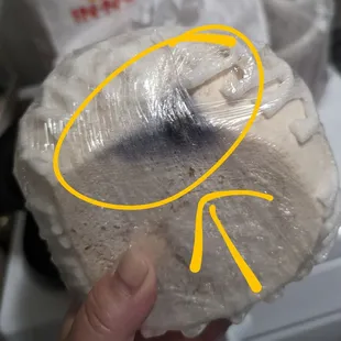 Mold on coconut