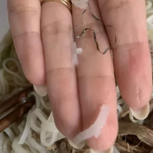 Metal steel wool in my Ribeye Beef Pho