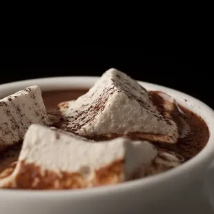 hot chocolate with home-made marshmallows!