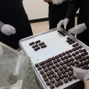 Loading mint ganache fillings onto enrobing conveyor belt. You gotta be quick!