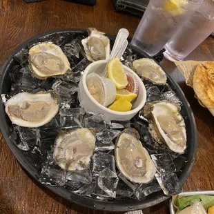 Oyster on the half shell