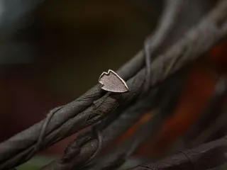 Crystal Point Body Piercing