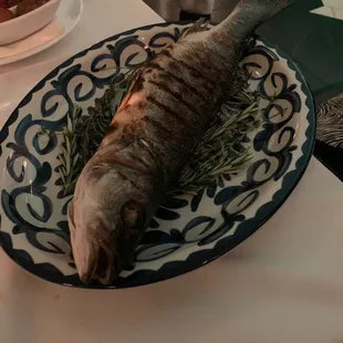 Chilean Sea Bass