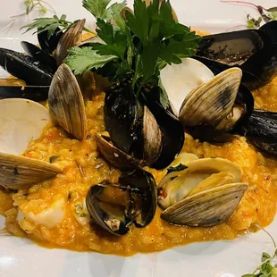 Seafood Risotto special.  YUM!