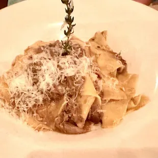 Duck ragu maccheroni