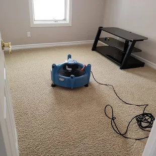 Cleanest / Driest carpets in town