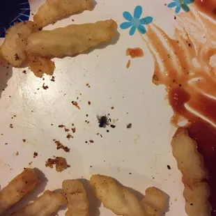 Dead Fly from my fry bag.