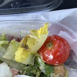 Salad with black mold on the end of the tomato and slimy green lettuce on the end