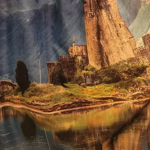 Outlander shower curtain