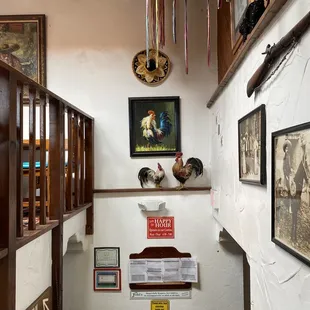 Look at all that cock!