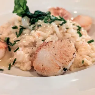 Scallops