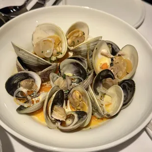 Clam and cockles