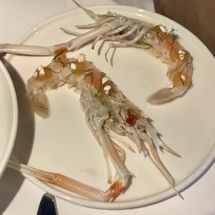 Langoustine