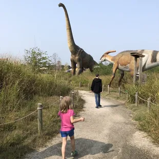 Well maintained trails