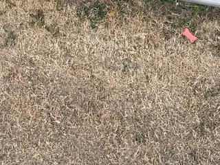 Murfin Animal Care Campus