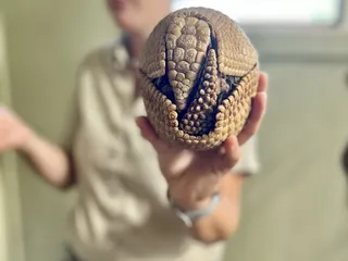 Tanganyika Wildlife Park