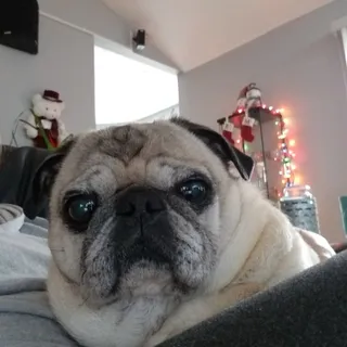 M M.