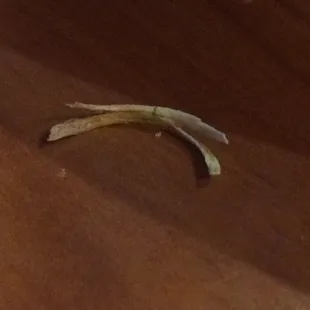 The nail I found in my food at this horrible restaurant.