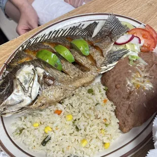 Fish
