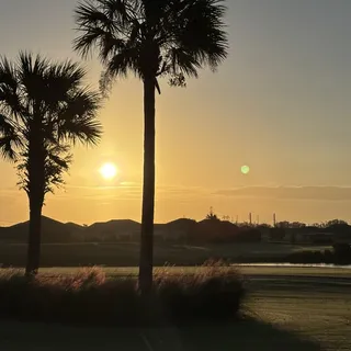 Dawn A.