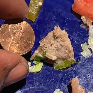The bone next to a penny