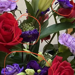 I circled the some of the other flowers I noticed that were near dead