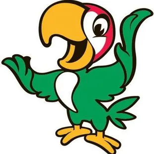 a colorful parrot with a red beak