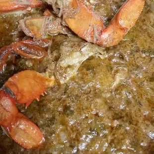 Crabs bubbling and sour smell.