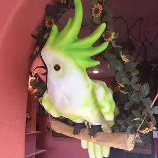 The parrot that will welcome you into the restaurant with a very Mexican decor and big portions of food.
