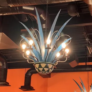 Wife loved some of there lighing