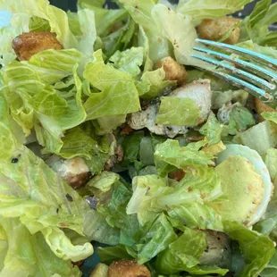 Chicken Caesar Salad